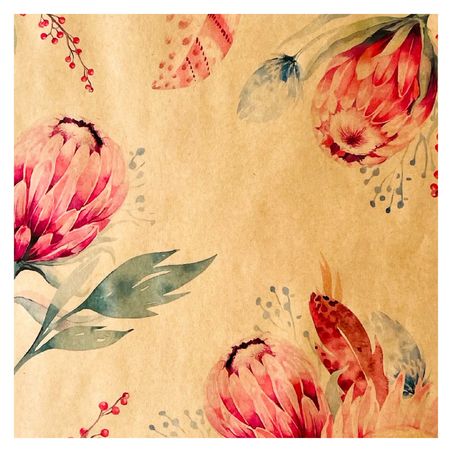 Eco Bouquet Sleeve 2 - Protea (Pack of 20)