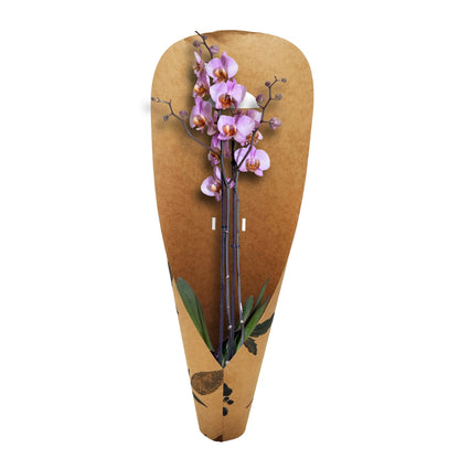 Orchid Carry Bag - Fynbos (Pack of 20)