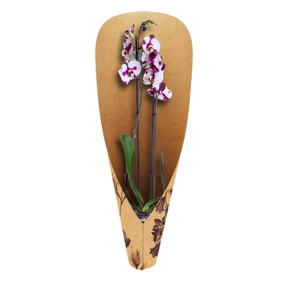 Orchid Carry Bag - Meadow (Pack of 20)