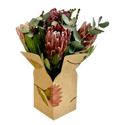 Posy Box - Fynbos (Pack of 20)