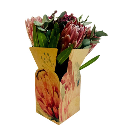 Posy Box - Protea (Pack of 20)