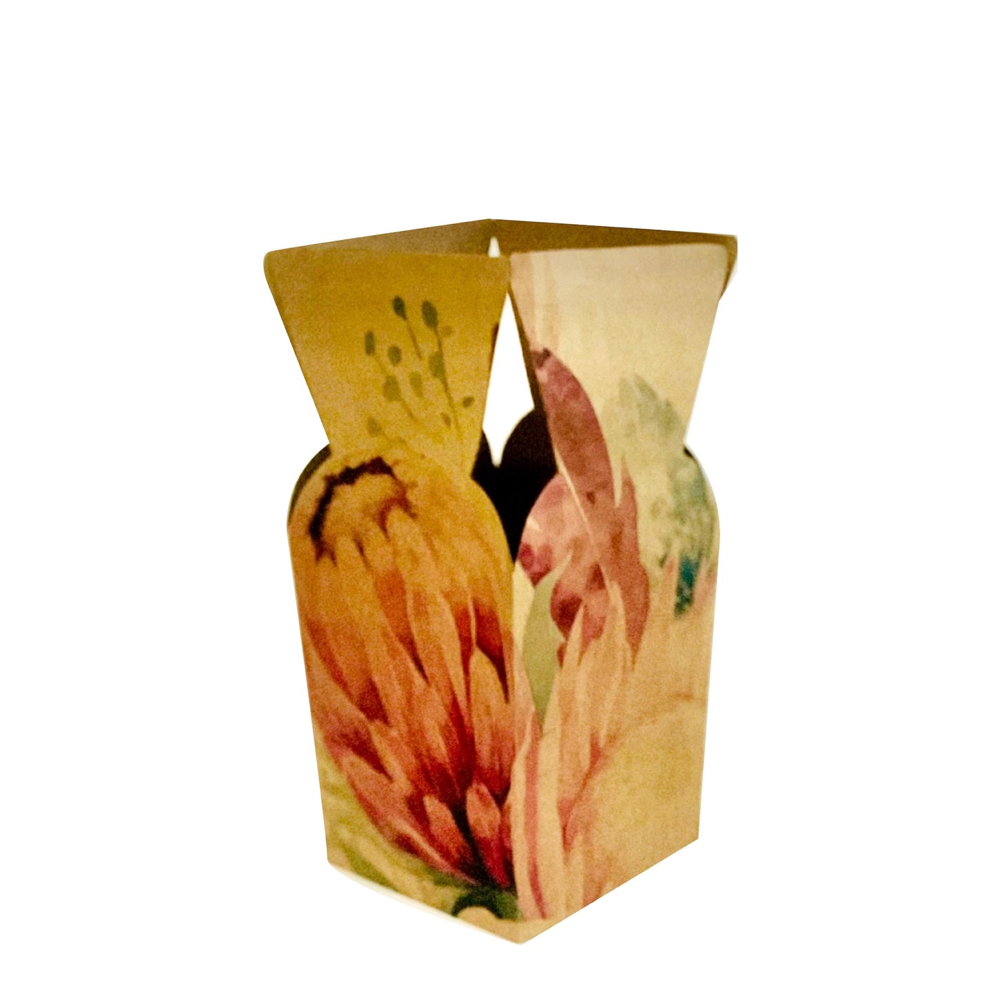 Posy Box - Protea (Pack of 20)