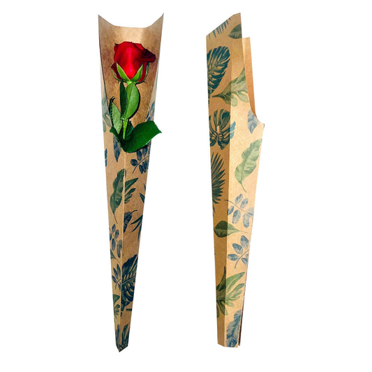 Single Rose Sleeve - Botanical (Pack of 20)