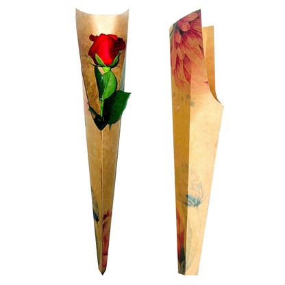 Single Rose Sleeve - Protea (Pack of 20)