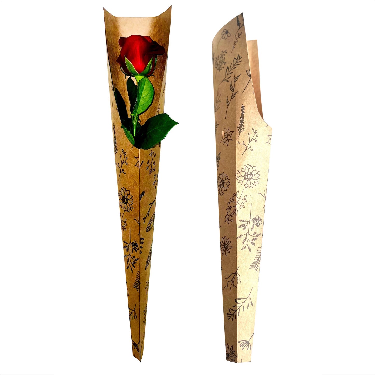 Single Rose Sleeve - Wildflower (Pack of 20)